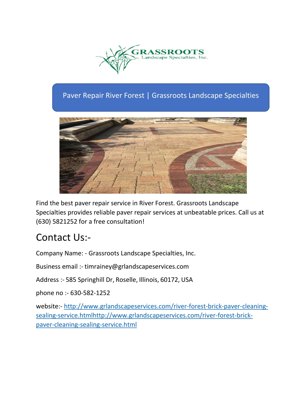 Ppt Paver Repair River Forest Grassroots Landscape Specialties