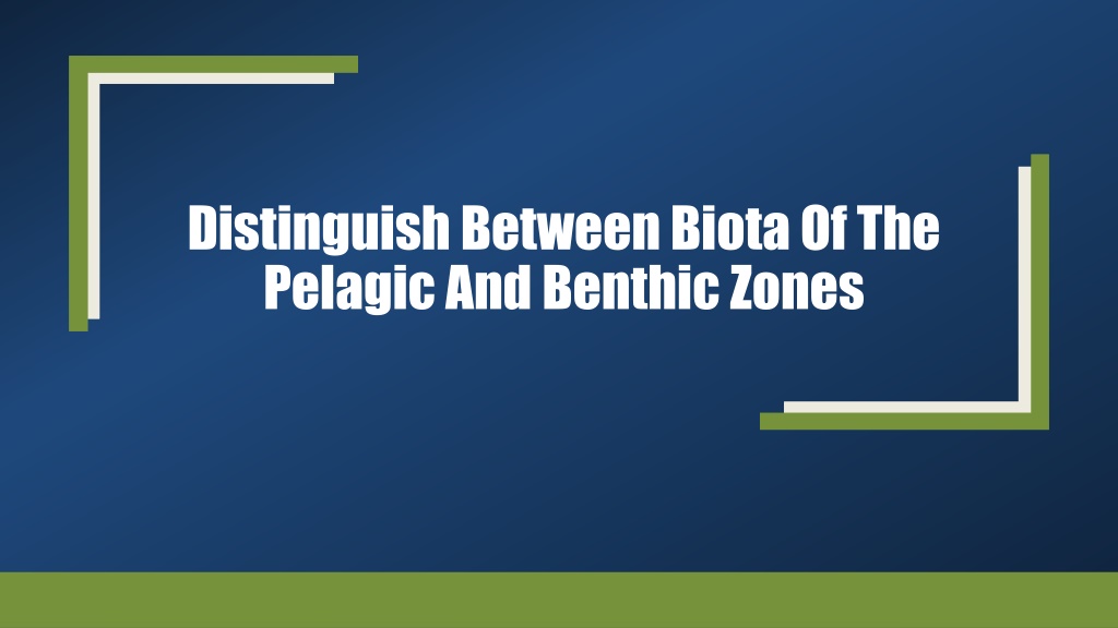 Ppt Distinguish Between Biota Of The Pelagic And Benthic Powerpoint