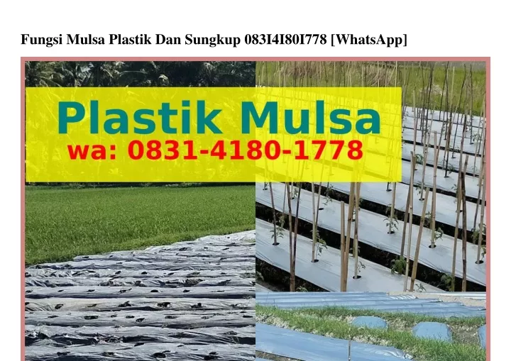 PPT Fungsi Mulsa Plastik Dan Sungkup Ô8З1418Ô1ᜪᜪ8 WA PowerPoint