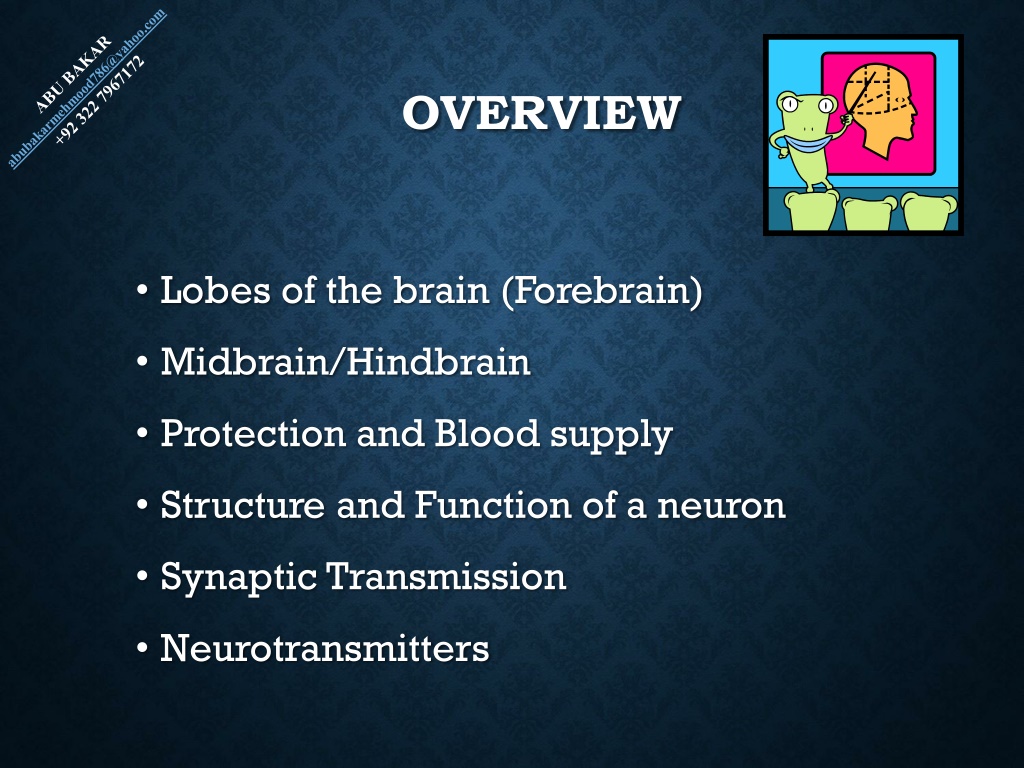 Ppt Brain Structure And Function Powerpoint Presentation Free