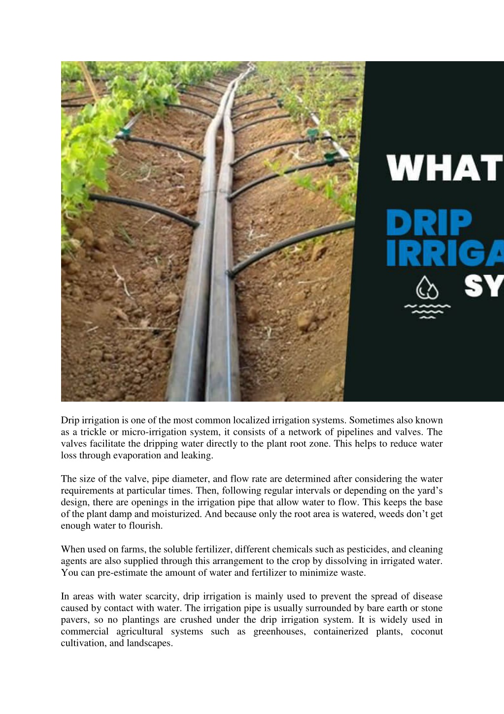 Ppt Sprinkler System Or Drip Irrigation Powerpoint Presentation Free