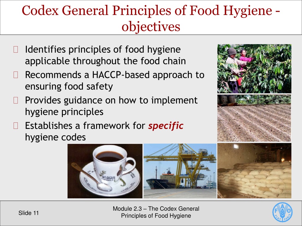 PPT The Codex General Principles Of Food Hygiene PowerPoint