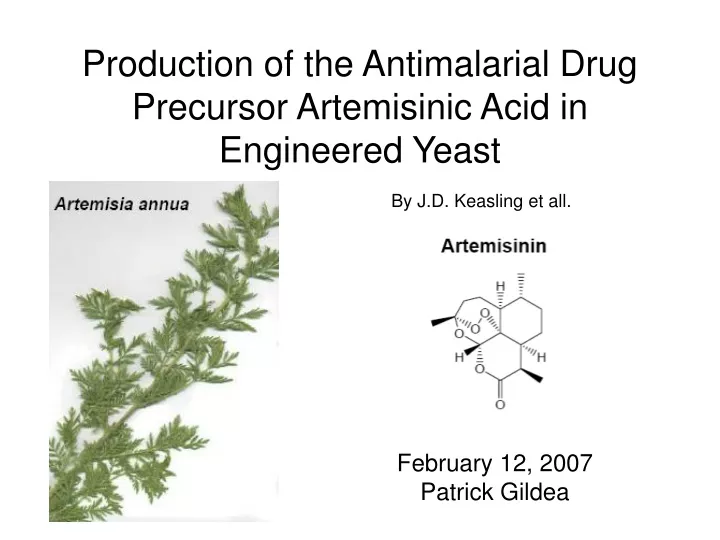 Ppt Production Of The Antimalarial Drug Precursor Artemisinic Acid In