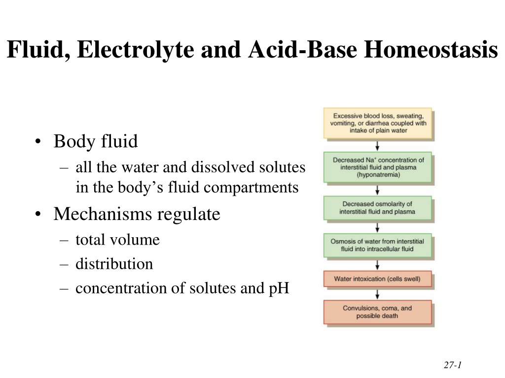 PPT Fluid Electrolyte And Acid Base Homeostasis PowerPoint