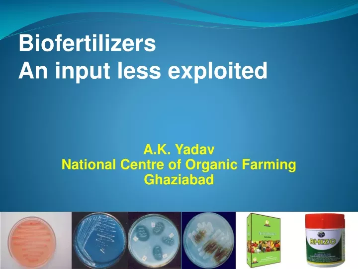 PPT Biofertilizers An Input Less Exploited PowerPoint Presentation