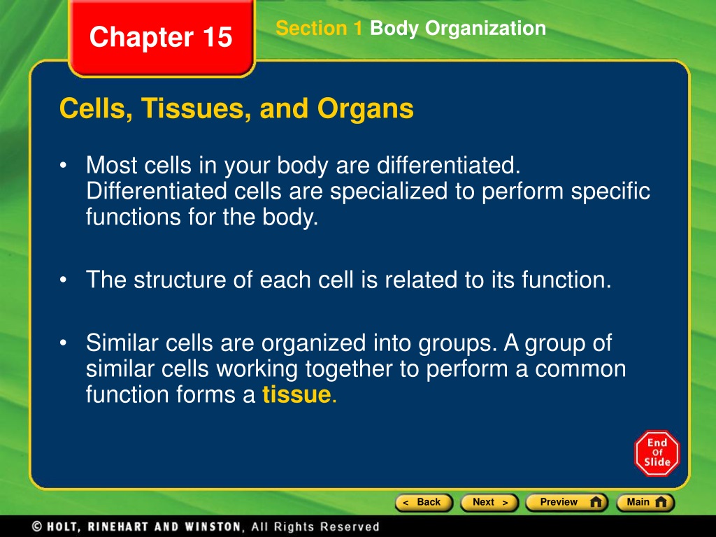 Ppt Cells Tissues Organs And Systems Powerpoint