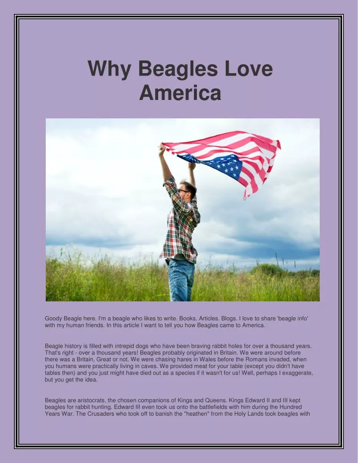 why beagles love america n.