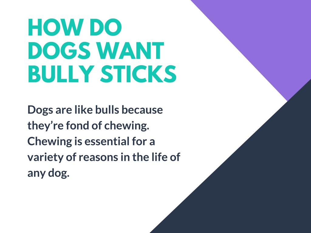 PPT Top 5 Facts that you need to know About Bully Sticks PowerPoint