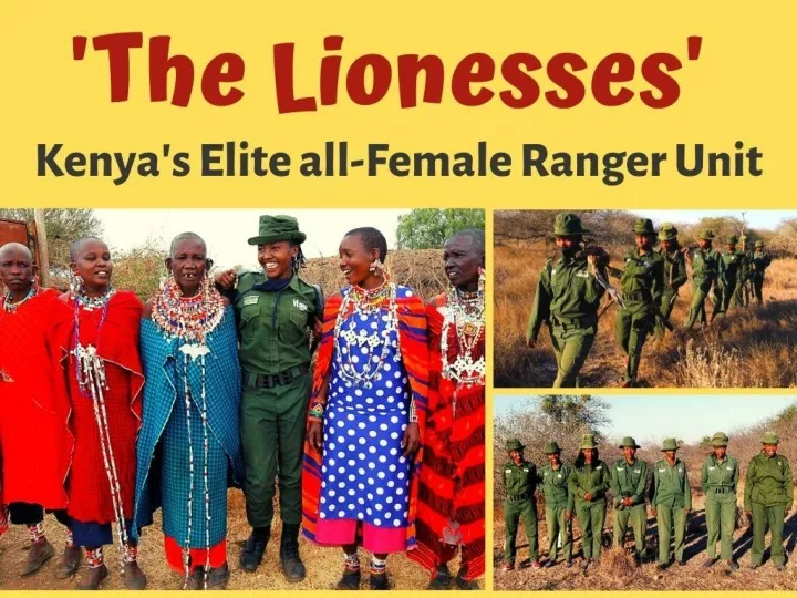 the lionesses kenya s elite all female ranger unit n.
