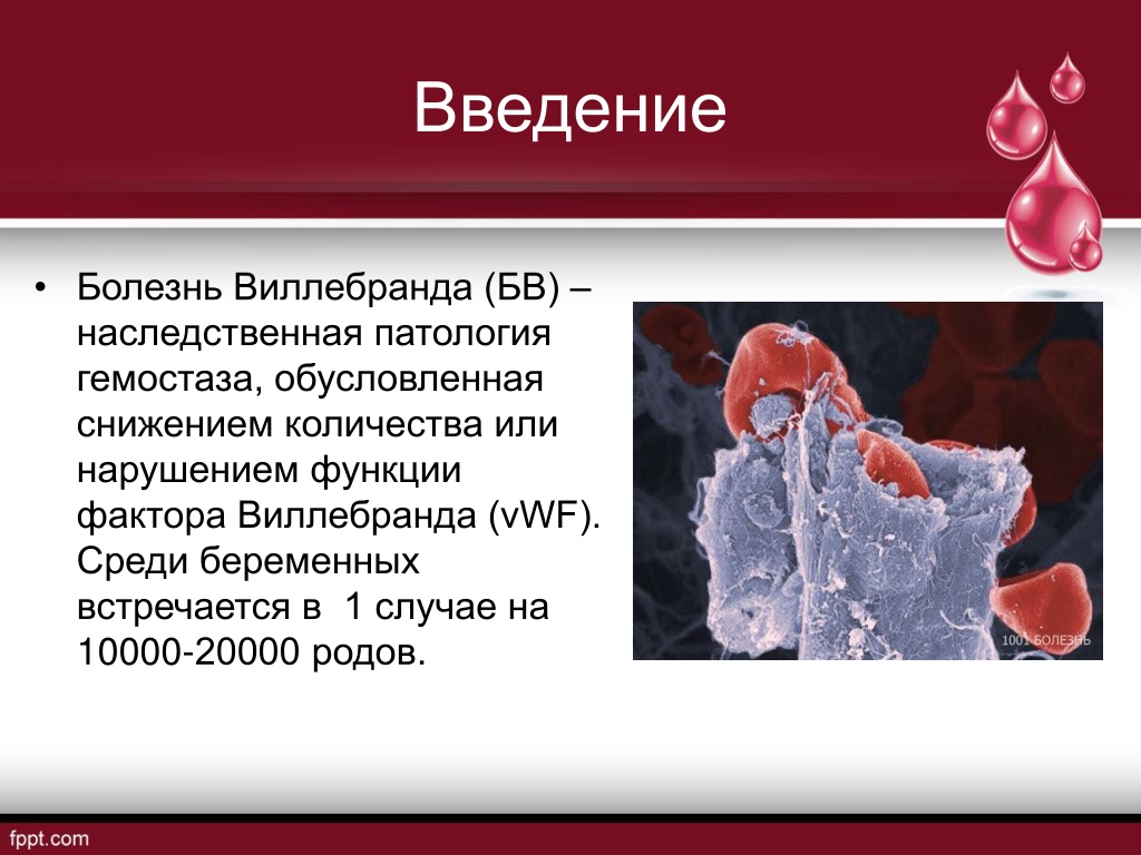 Болезнь виллебранда презентация