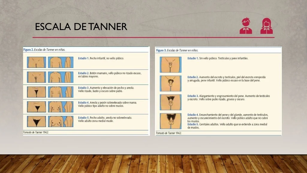 PPT Crecimiento Y Desarrollo PowerPoint Presentation Free Download PPT Crecimiento Y Desarrollo PowerPoint Presentation Free Download