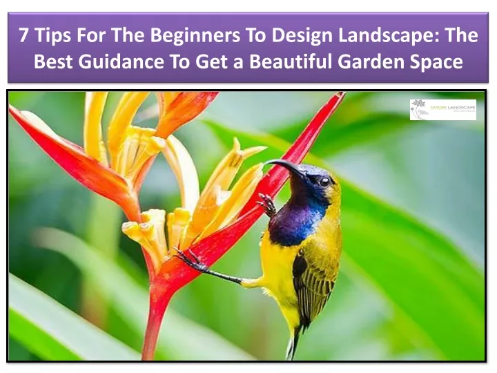 7 tips for the beginners to design landscape the best guidance to get a beautiful garden space n.