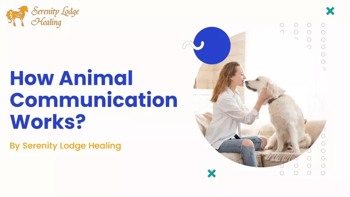 PPT - How Animal Communication Works? PowerPoint Presentation, free