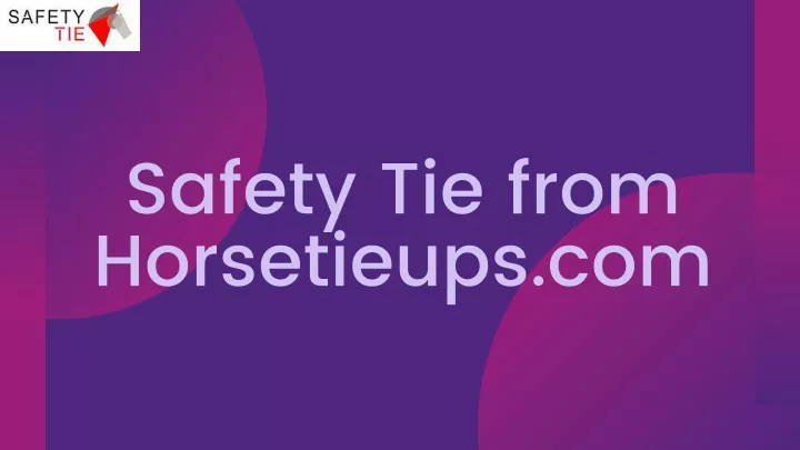 safety tie from horsetieups com n.