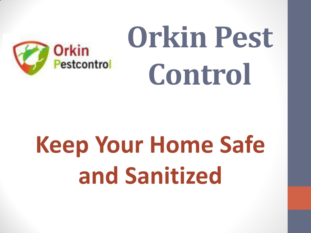 PPT Orkin Pest Control PowerPoint Presentation, free download ID