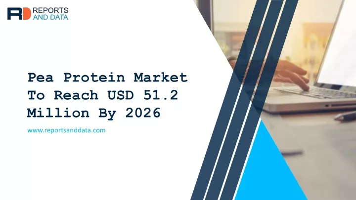 pea protein market to reach usd 51 2 million n.