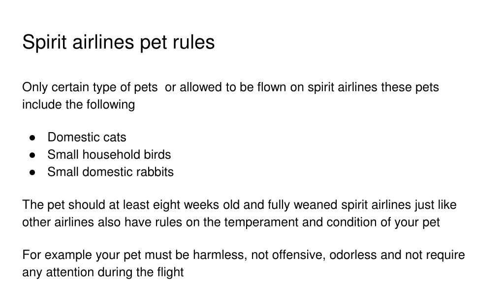 PPT What is spirit airlines pet policy PowerPoint Presentation, free