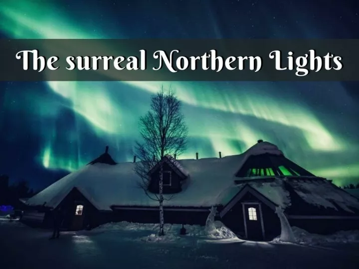 the surreal northern lights n.