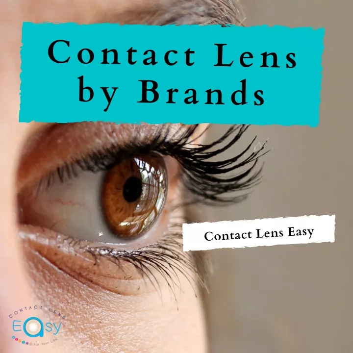 contact lens by brands n.