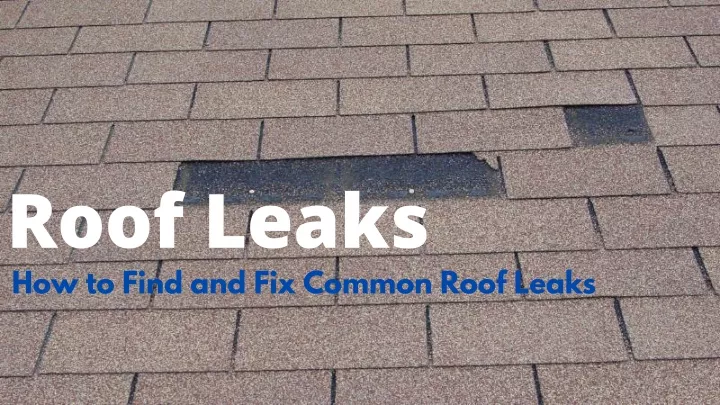roof leaks n.