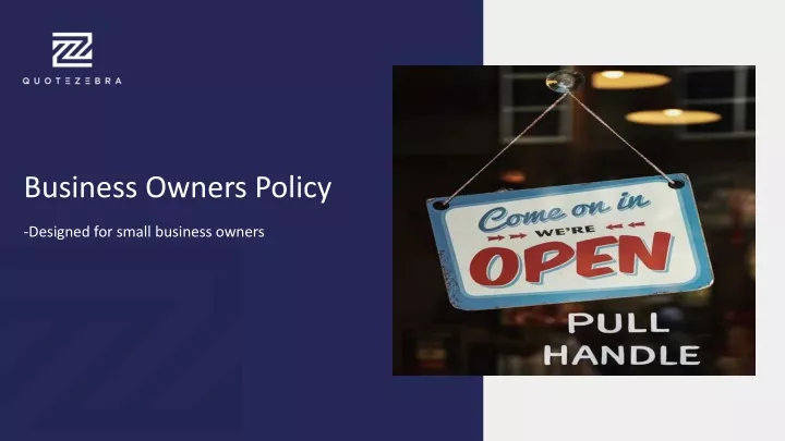 business owners policy n.
