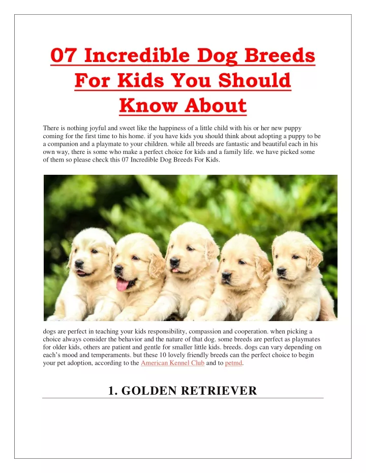 07 incredible dog breeds for kids you should know n.