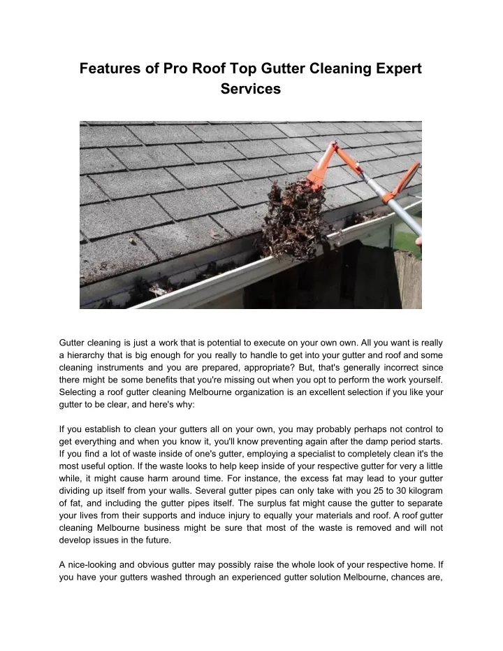 features of pro roof top gutter cleaning expert n.