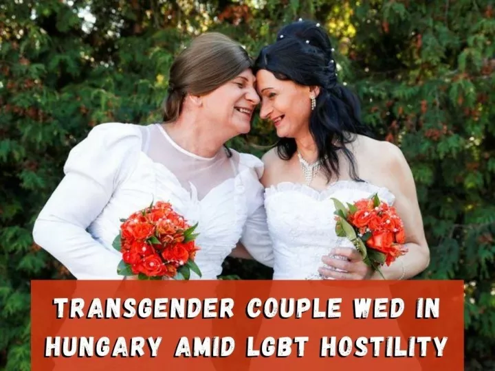 transgender couple wed in hungary amid lgbt hostility n.
