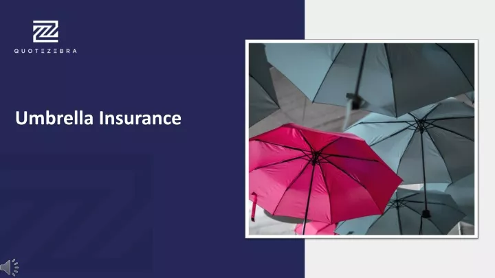 umbrella insurance n.
