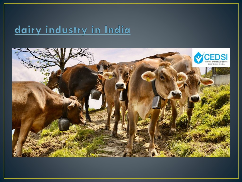 PPT - CEDSI- Dairy Industry in India PowerPoint Presentation, free ...