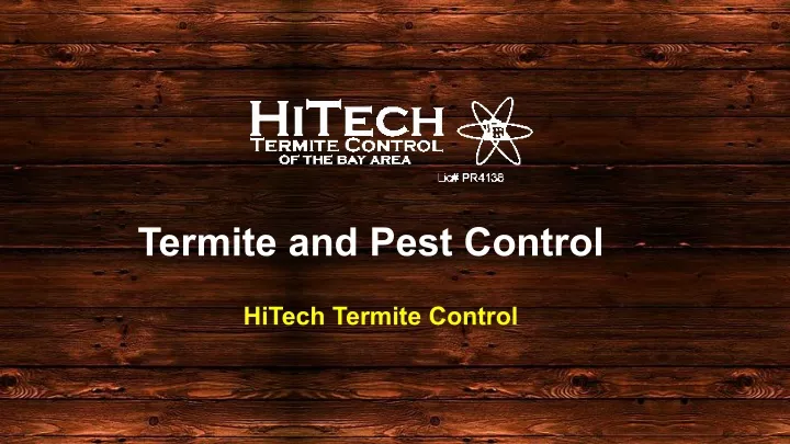 termite and pest control n.