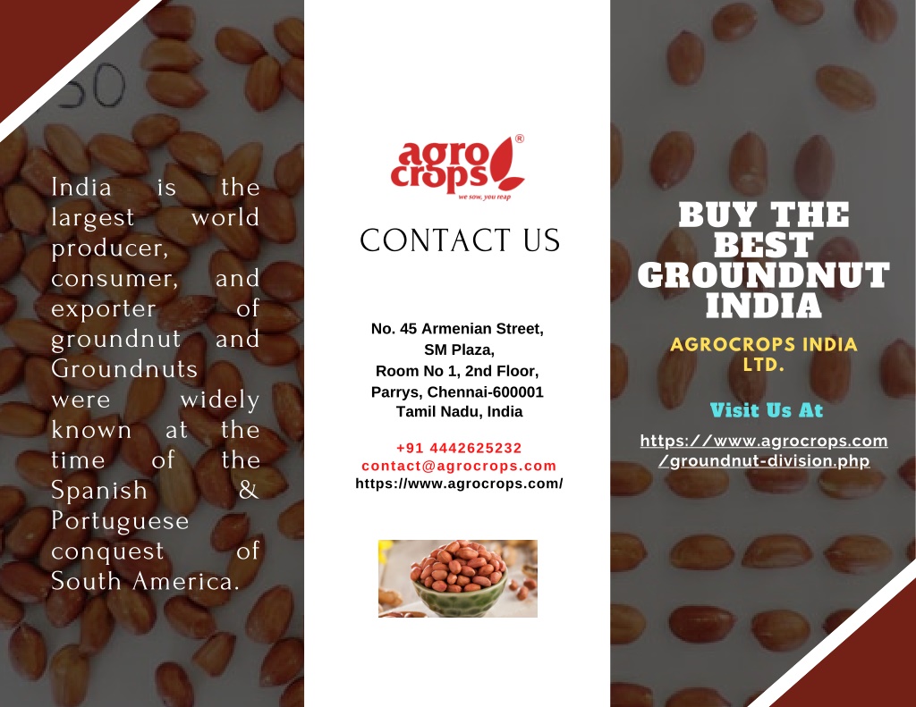 Ppt Buy The Best Groundnut India Powerpoint Presentation Free