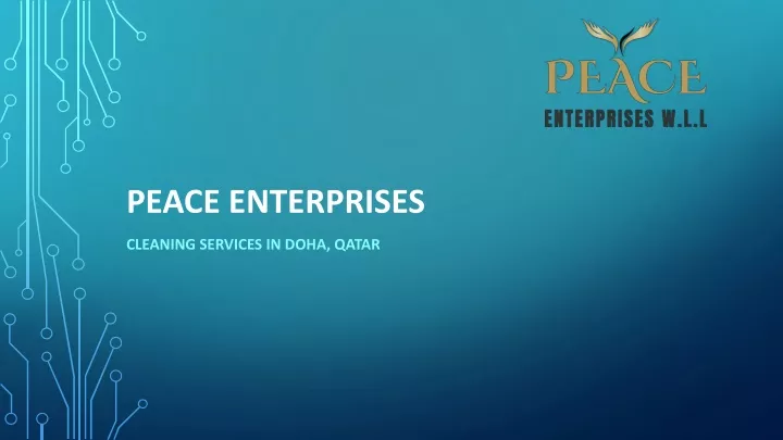 peace enterprises n.