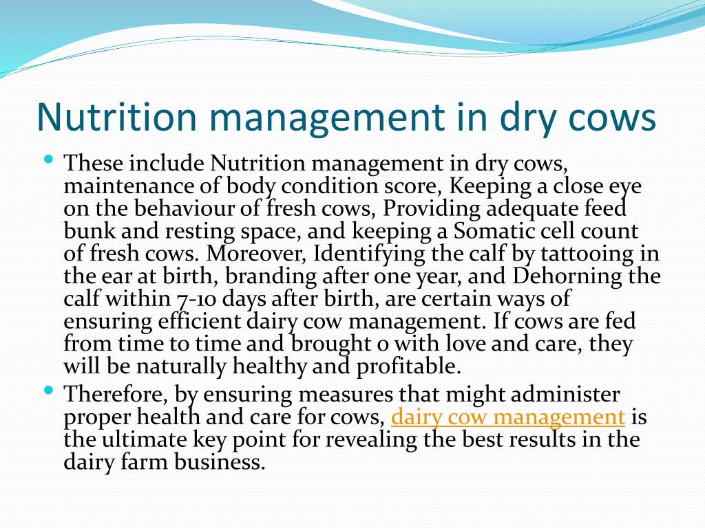 PPT - CEDSI- Dairy Cow Management PowerPoint Presentation, Free ...