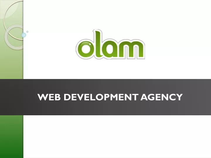 web development agency n.