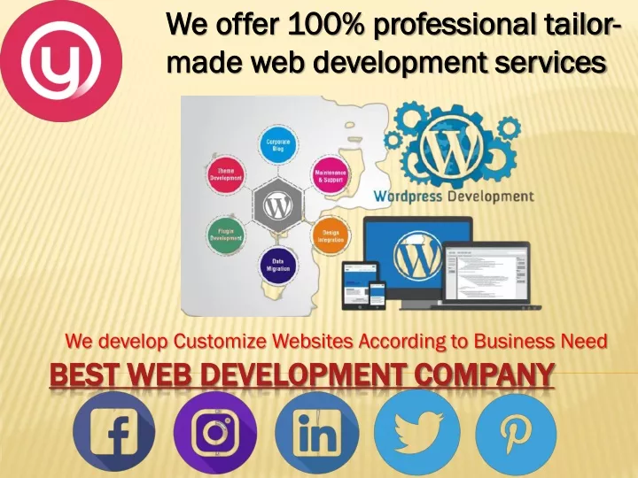 we develop customize websites according to business need n.