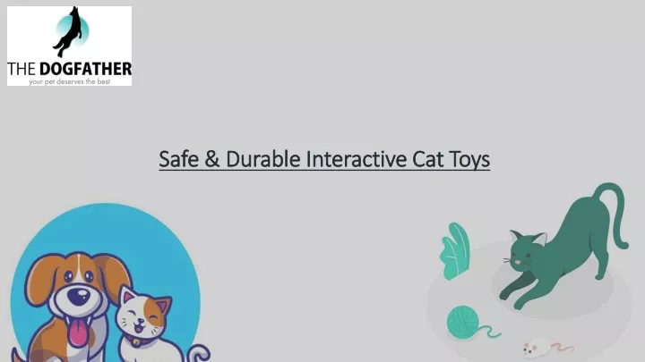 safe durable interactive cat toys n.