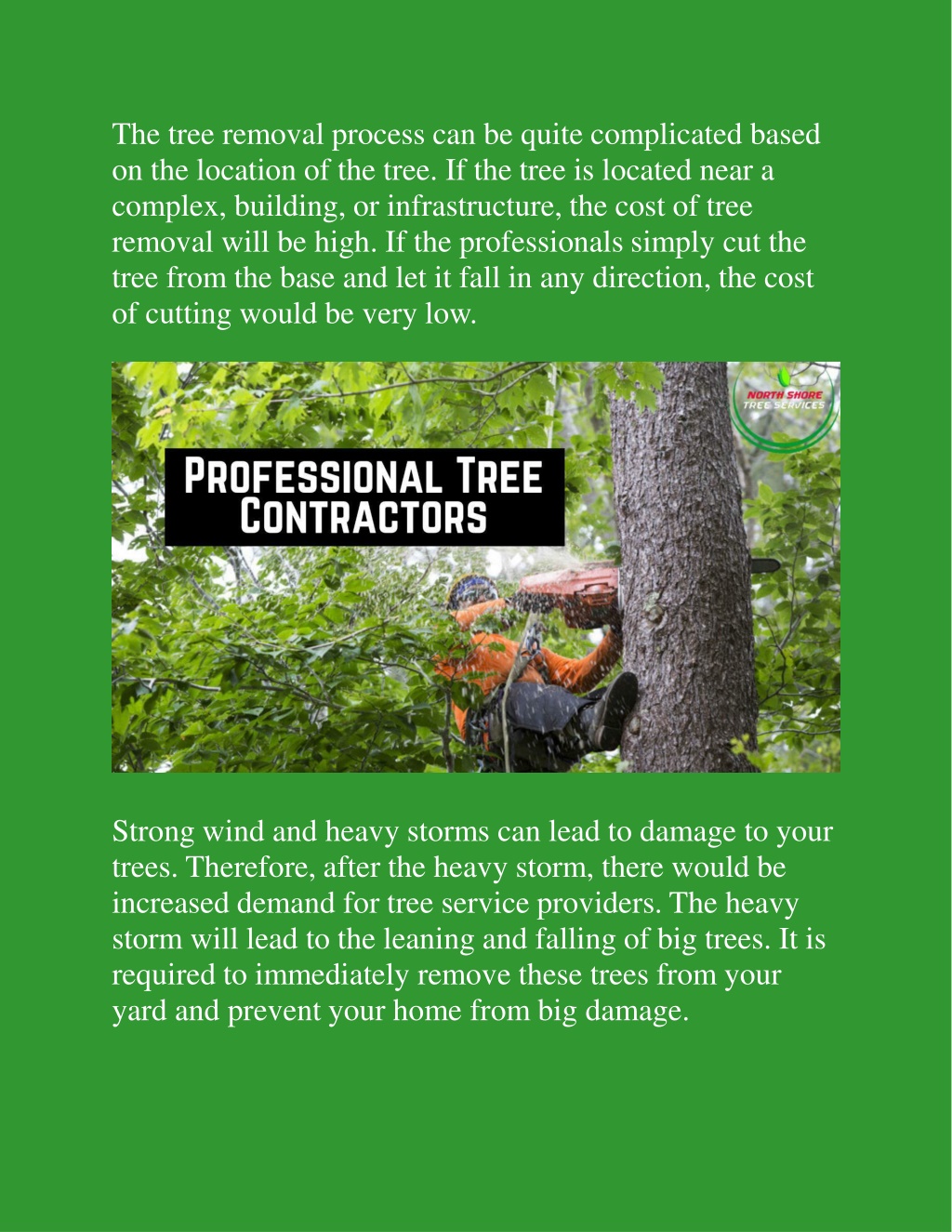 Ppt Top Five Things To Consider During The Tree Removal Process