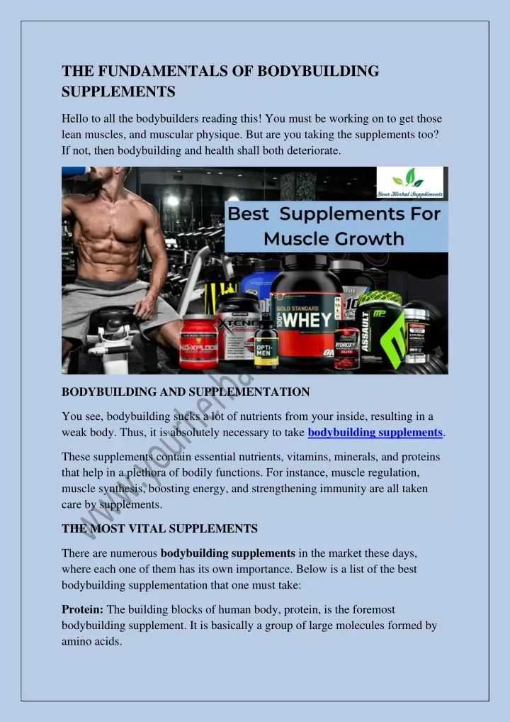 the fundamentals of bodybuilding supplements n.