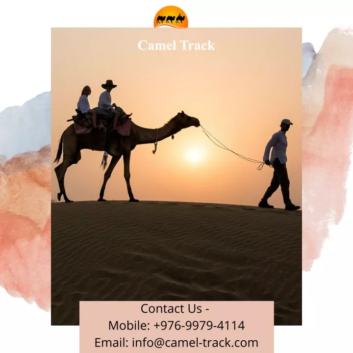 contact us mobile 976 9979 4114 email info@camel n.