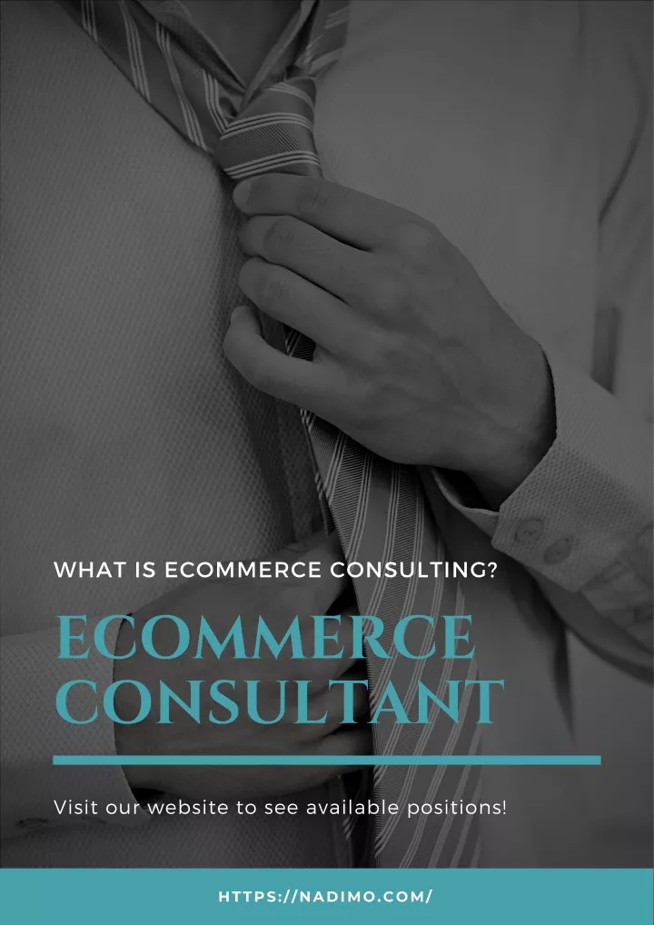 what is ecommerce consulting n.