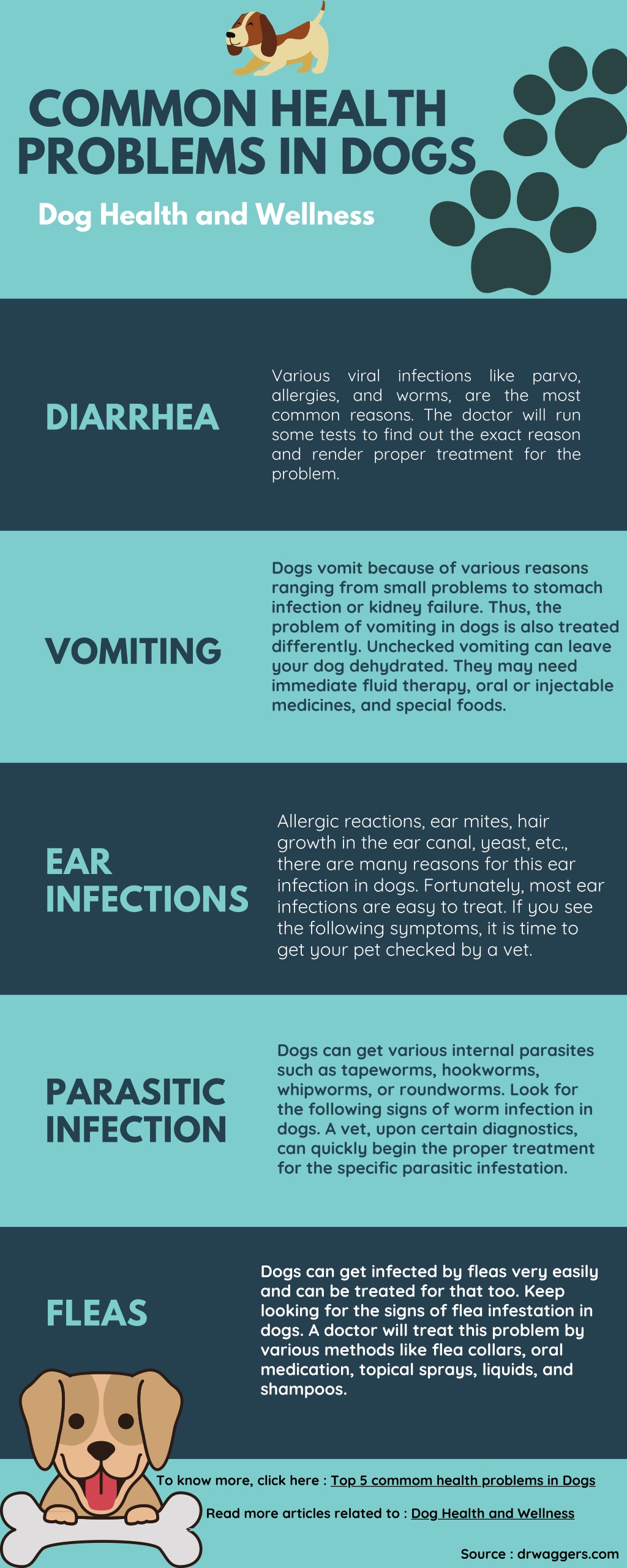 ppt-top-5-most-common-health-problems-in-dogs-powerpoint-presentation