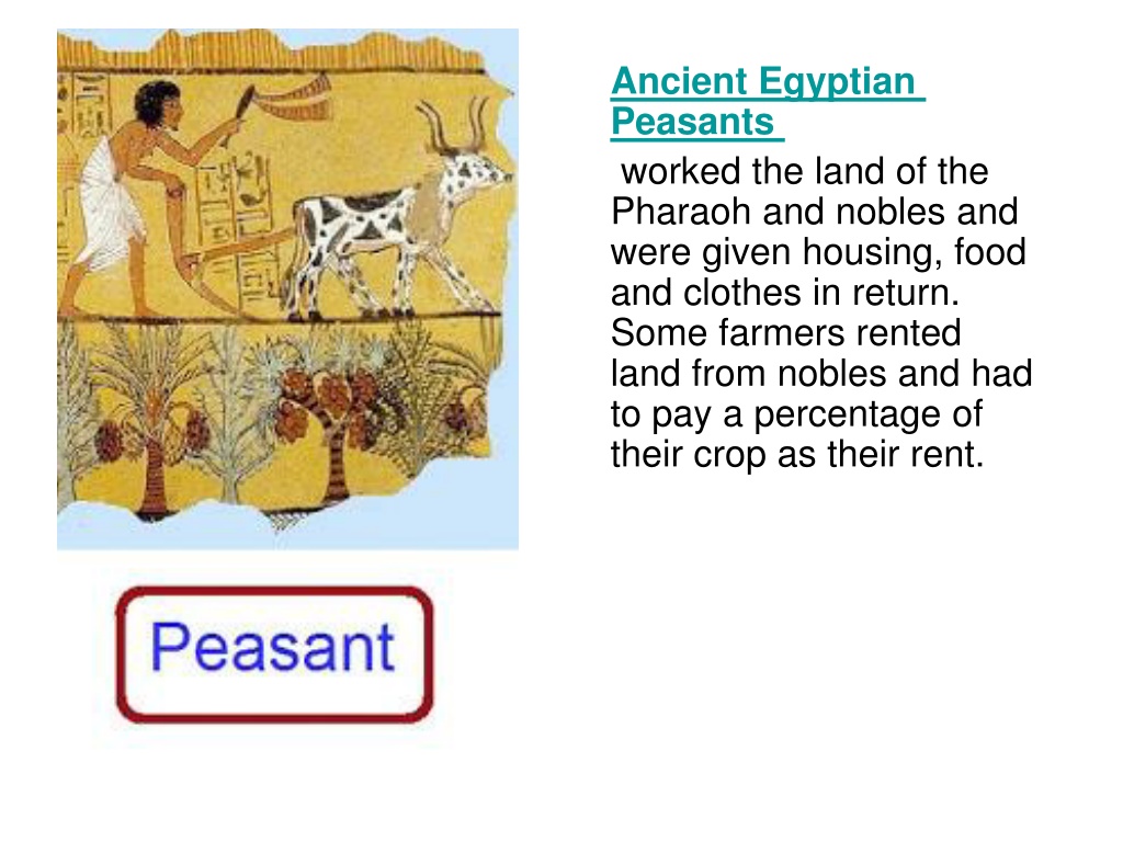 PPT - Ancient Egyptian Social Pyramid PowerPoint Presentation, free ...