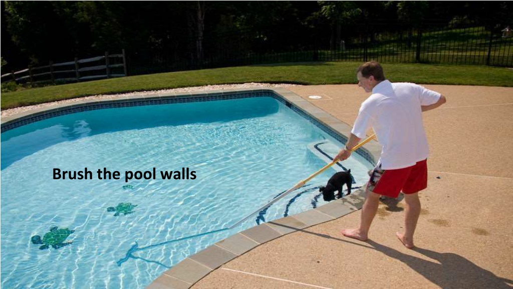 PPT - Importance of Swimming Pool Maintenance by Jonathan Ortecho ...