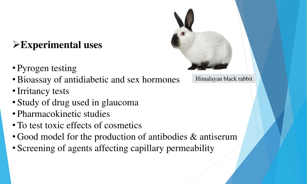 experimental animals used in pharmacology pdf