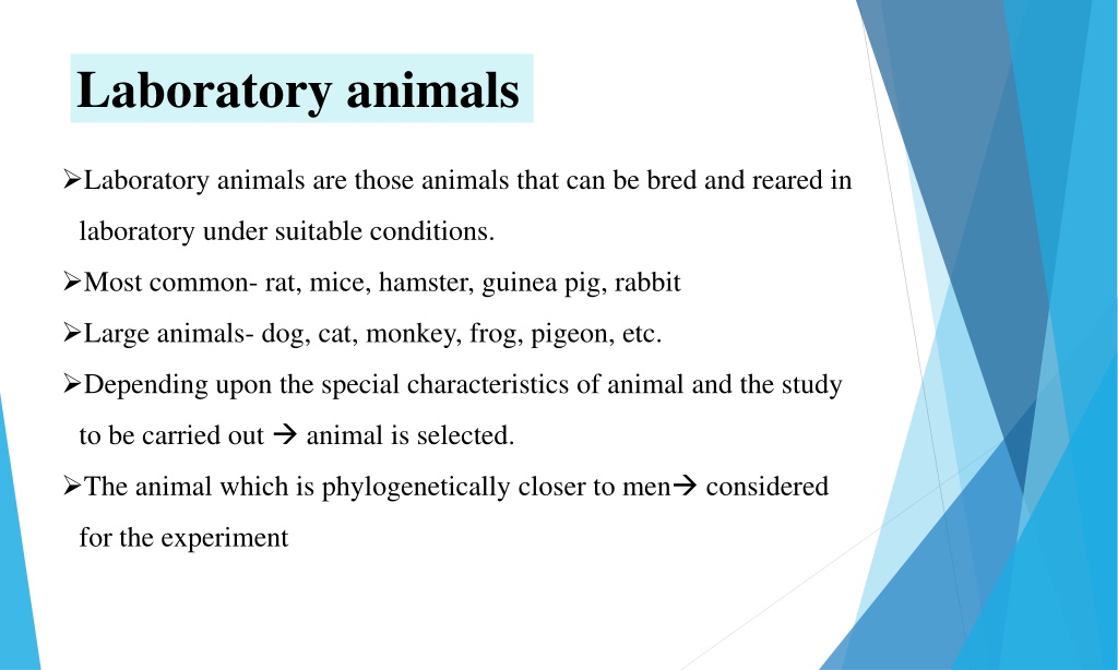 What Are The Uses Of The Laboratory Animal At Jesse Donofrio Blog