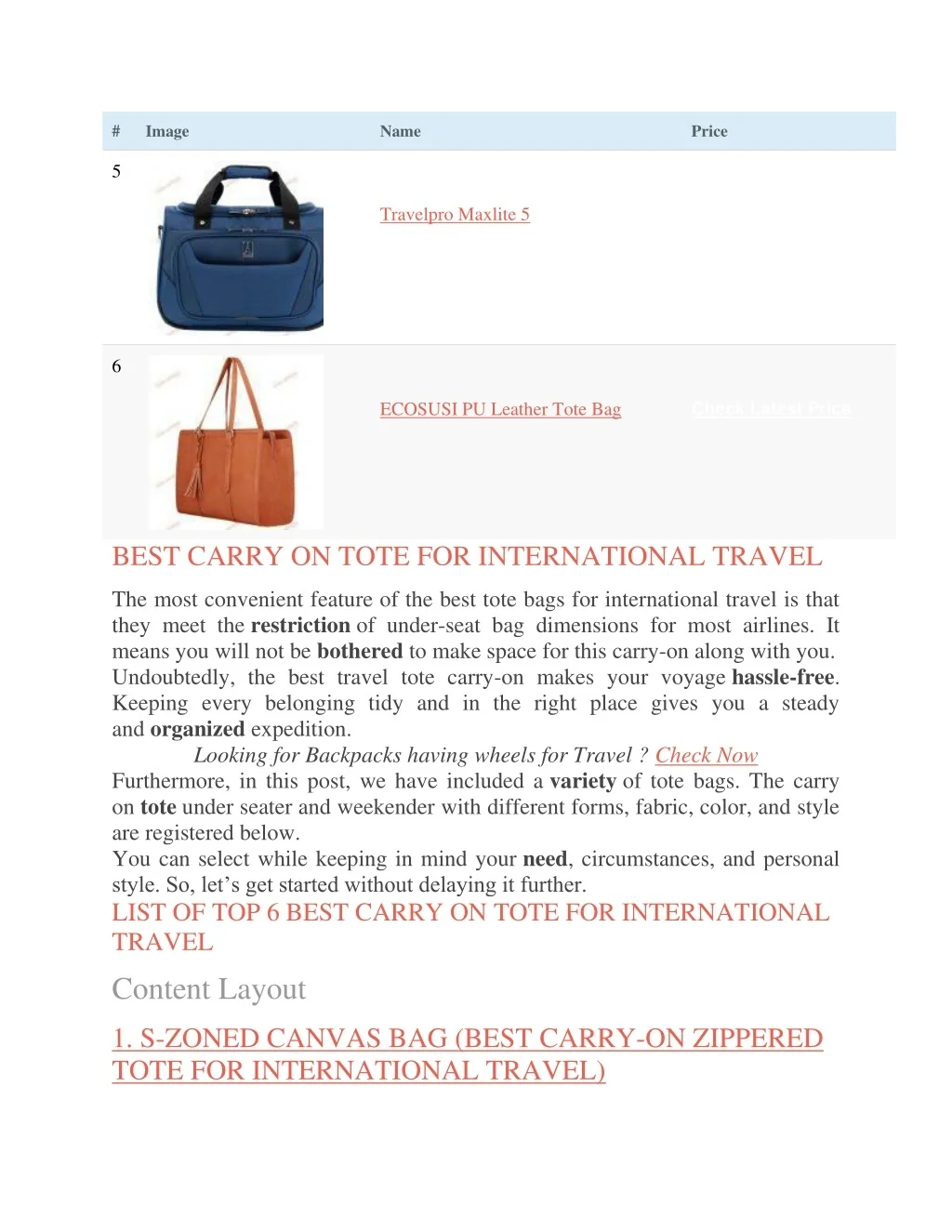 PPT Best Carry on Tote for International Travel to Buy in 2021