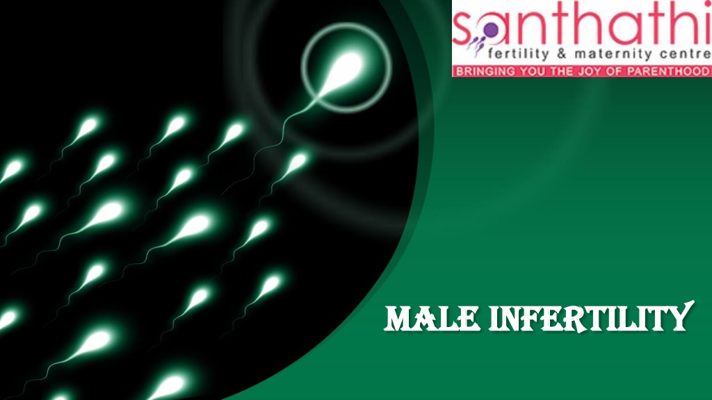 Ppt Male Infertility Powerpoint Presentation Free Download Id10520112 3143