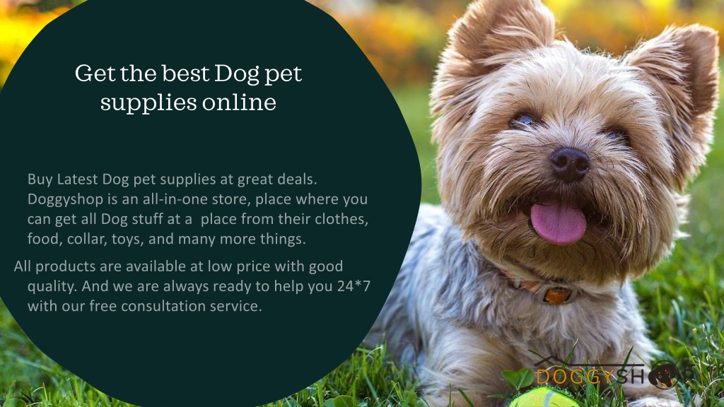 PPT Best pet supplies PowerPoint Presentation free download