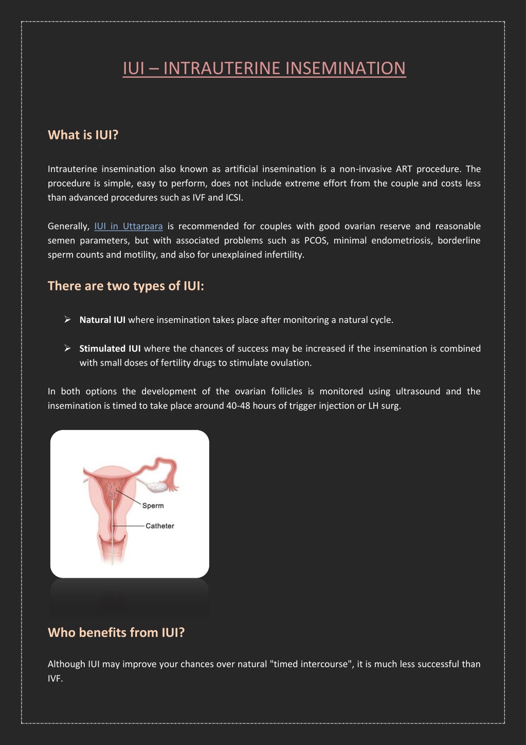 Ppt What Is Iui Or Intrauterine Insemination Powerpoint Presentation Id10580470 6688